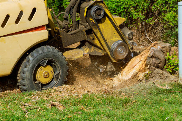 Best Aeration Services  in Franklin, MI