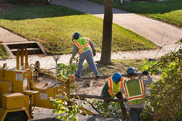 Best Landscape Design and Installation  in Franklin, MI