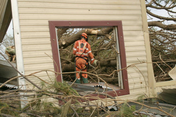 Best Firewood Processing and Delivery  in Franklin, MI