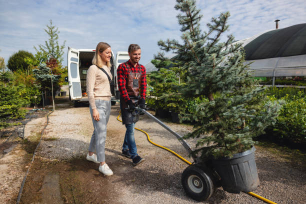 Best Hazardous Tree Removal  in Franklin, MI